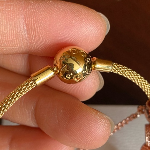 NWOT Gold Pandora Moments 18K Gold Plated Mesh Bracelet w/ Rose Gold Charms - Picture 4 of 13